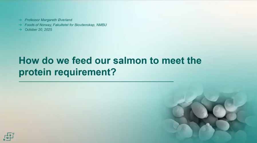 Prof. Margareth Overland- How do we feed our salmon to meet the protein requirement? –