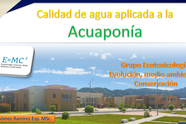 Captura de pantalla 2026-03-04 a las 10.54.01 a. m.